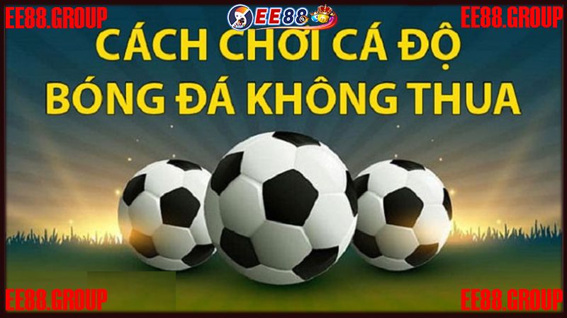 Hướng dẫn cách chơi kèo 1 1/4 tại EE88