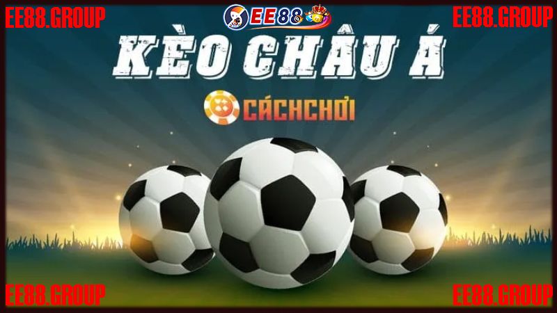 Mẹo soi kèo châu Á cực chuẩn cho người mới